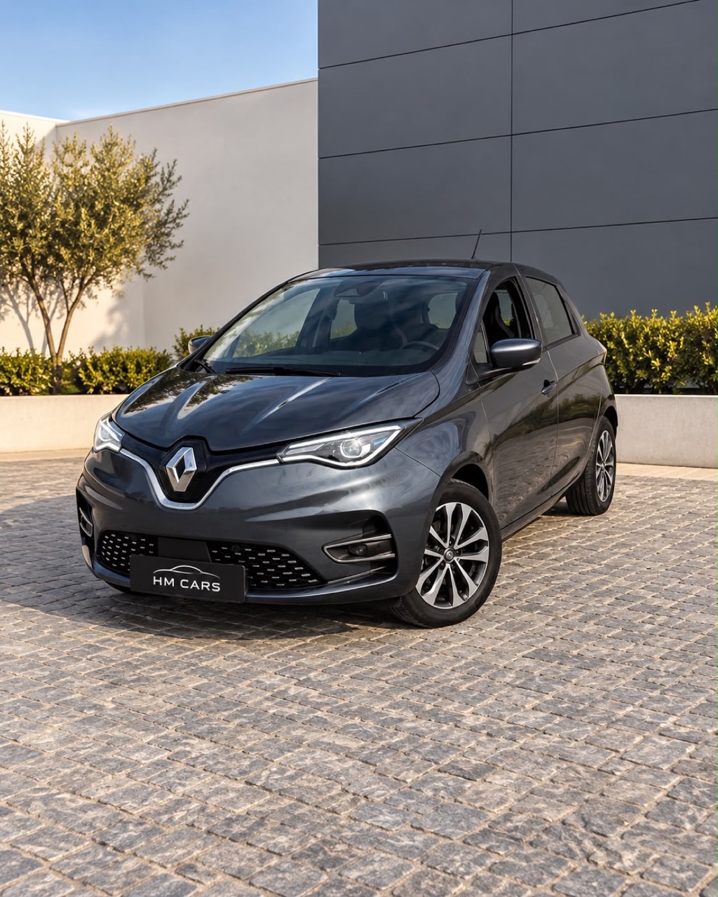 Renault Zoe Intense R135